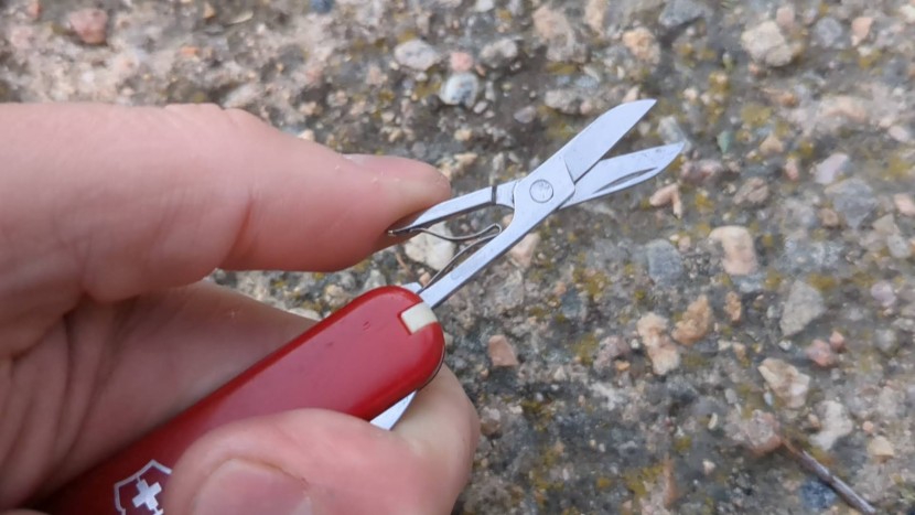 victorinox classic sd swiss army - victorinox scissors are famous for their unique spring action, time...