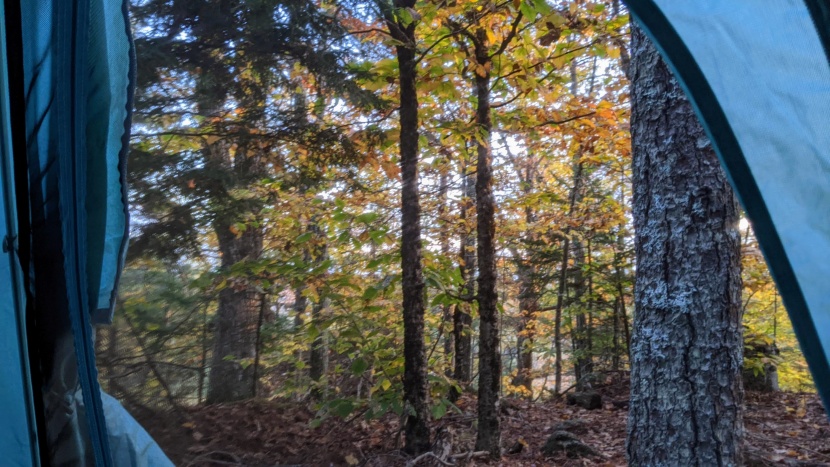rei co-op trailmade 2 - we love a room with a view, and the dark mesh on this tent is easy...