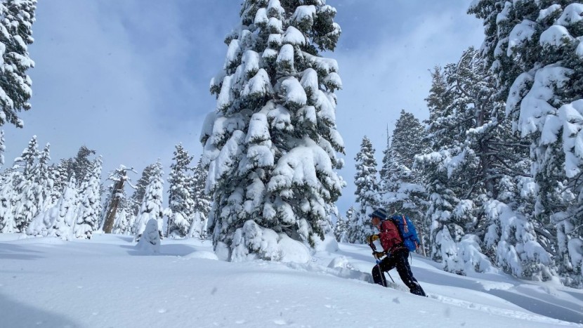 socks - the smartwool ski intraknit otc sock gave us comfort and warmth when...