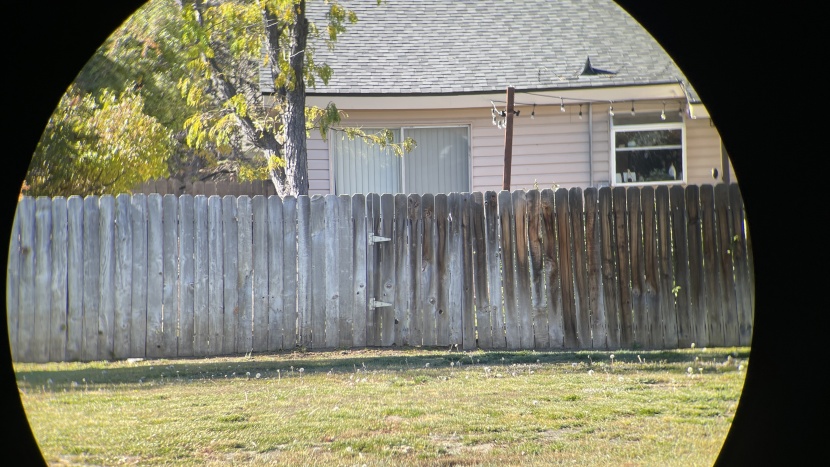 leica noctivid 10x42 - the leica noctivid&#039;s field of view is fairly narrow.