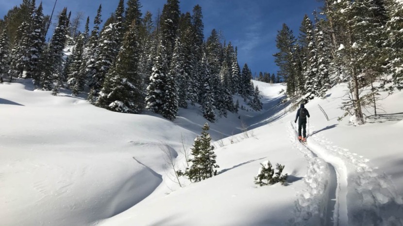 The 5 Best Backcountry Skis Of 2024 | Tested