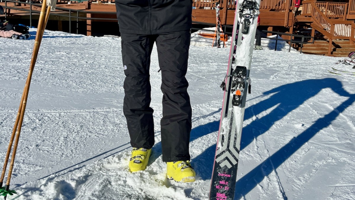 the north face freedom bib ski pants review