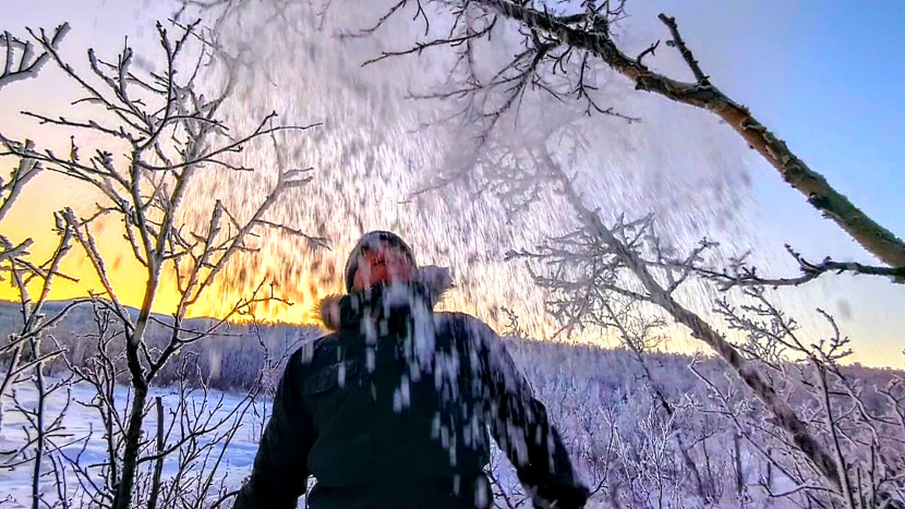 fjallraven nuuk parka - playing &quot;tag you&#039;re it&quot; with a few of the local trees. it was too...