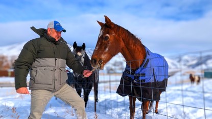 Product photo of Marmot Fordham