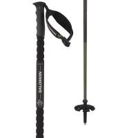 backcountry ski poles