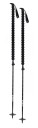 backcountry ski poles