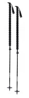 backcountry ski poles