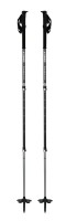 backcountry ski poles
