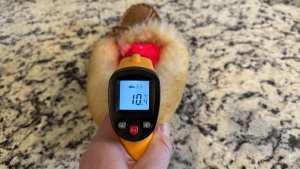 The thick fur lining of the LL Bean Wicked Good Moccasins did a...