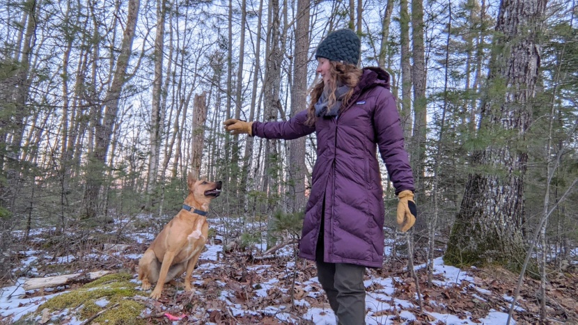 winter jacket womens - the patagonia down with it jacket has an excellent cut that gives...