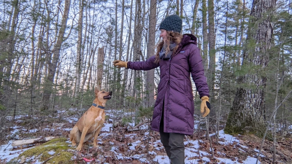 winter jacket womens - the patagonia down with it jacket has an excellent cut that gives...