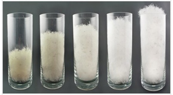 down jacket men - each tube pictured contains the same weight of down. lower...