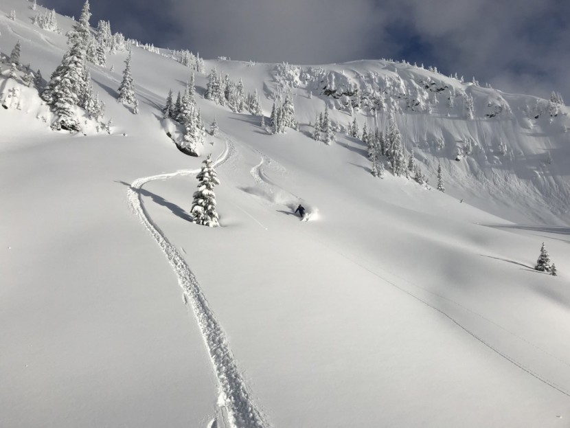 ski jacket - resort ski jackets are warmer but less versatile. in backcountry...