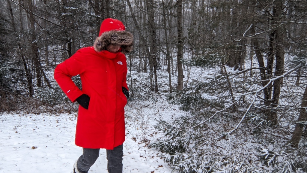 Best Winter Hiking Jackets: 7 Women's Winter Hiking Jackets — Nichole the  Nomad