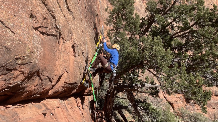 aider - more often than not, ladders are used in-tandem to increase...