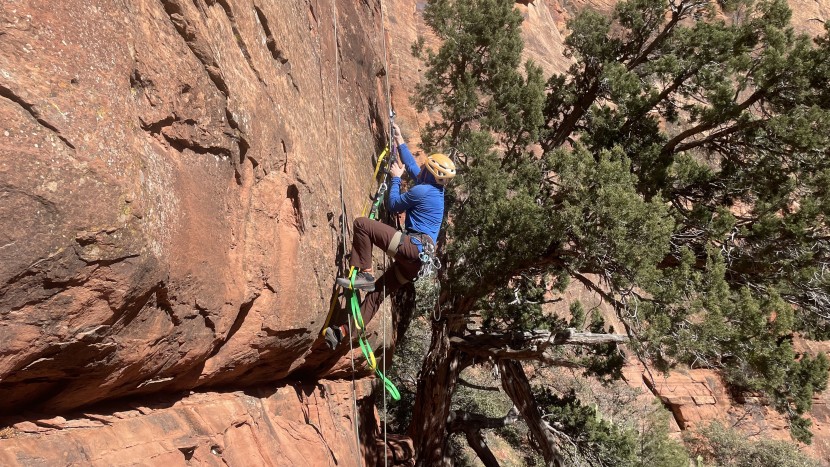 aider - even though it&#039;s a bit lighter weight than comparable ladders, the...