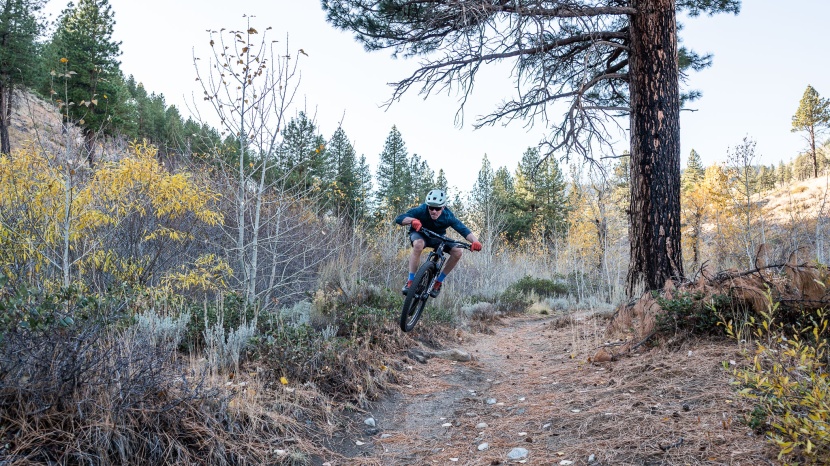 revel rascal xo transmission