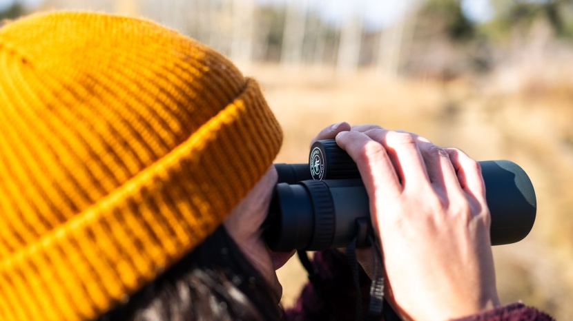 vortex crossfire hd 10x50 - the crossfire hd offers an impressive close focus range, good for...