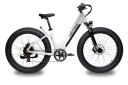 budget electric bike