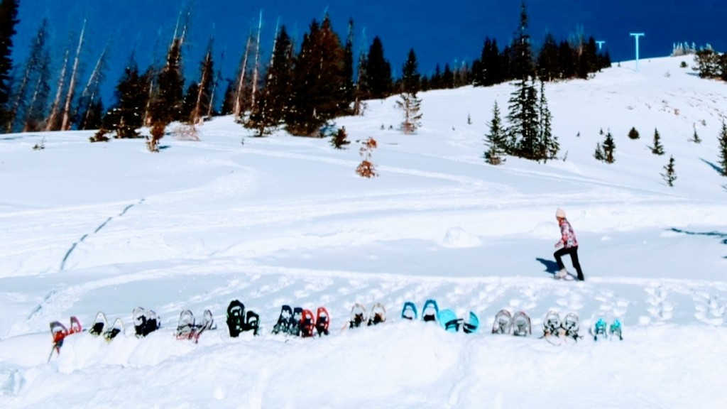 snowshoes womens - we test the tracks of each snowshoe side by side to see what sinks...
