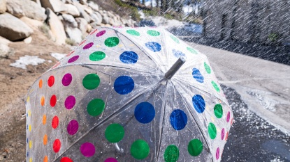 Lead photo for totes Clear Bubble