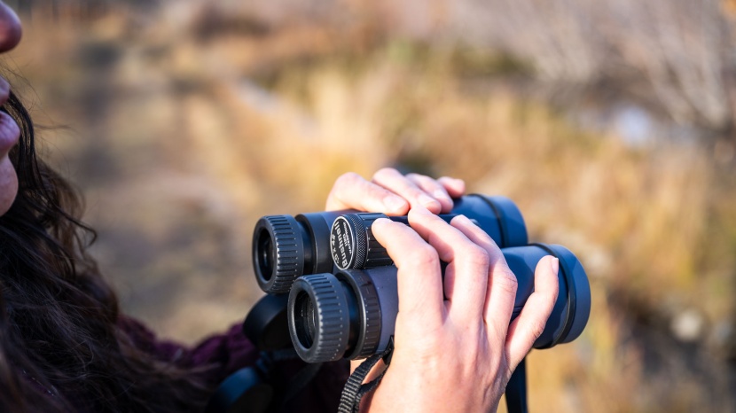 bushnell h20 10x42 - the close focus of this model is too far for our liking.