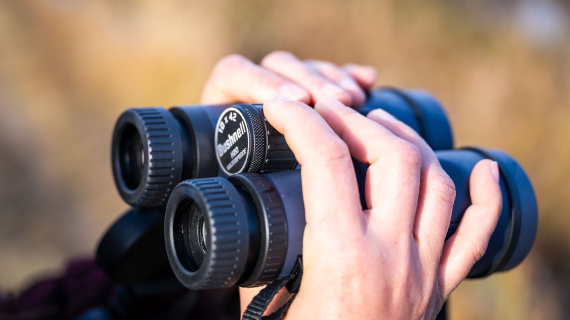 bushnell h20 10x42 - these large lenses were unable to transmit as much light as similar...