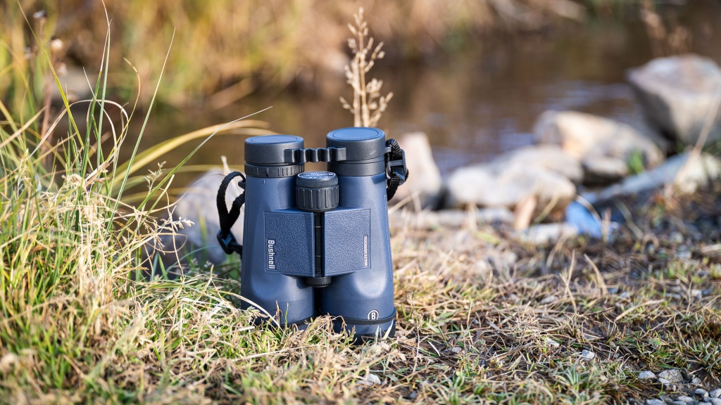 Bushnell h2o 8x42 sales roof binoculars review