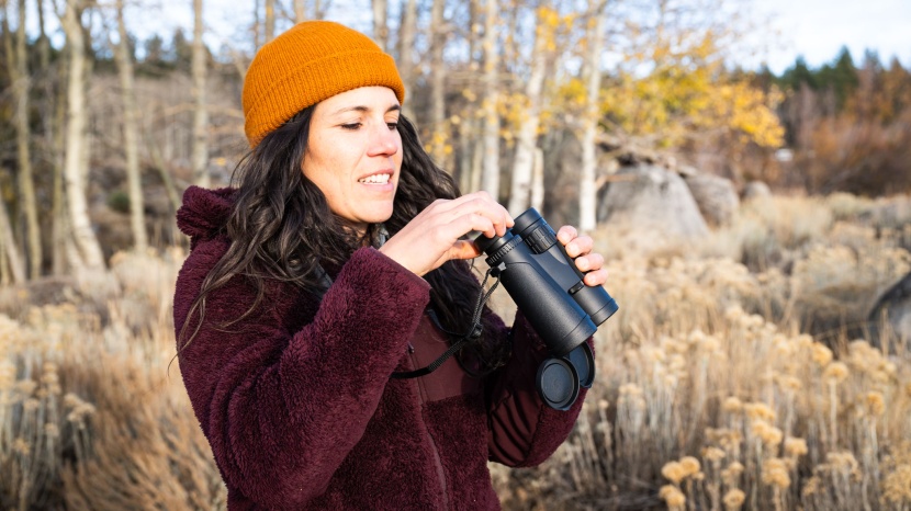 adorrgon 12x42 hd - ease of adjustment is a serious weak point for this model.