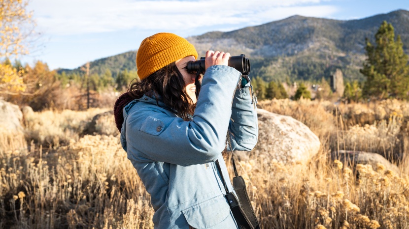 zeiss victory sf 10x42 - large clear lenses provide superior light transmission for a bright...