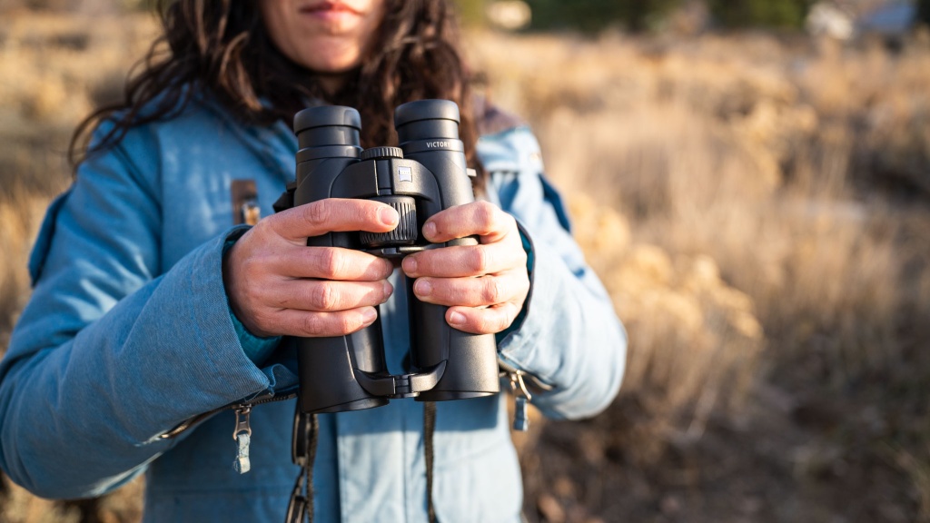 zeiss victory sf 10x42 - eyecups were not the best part of the zeiss.