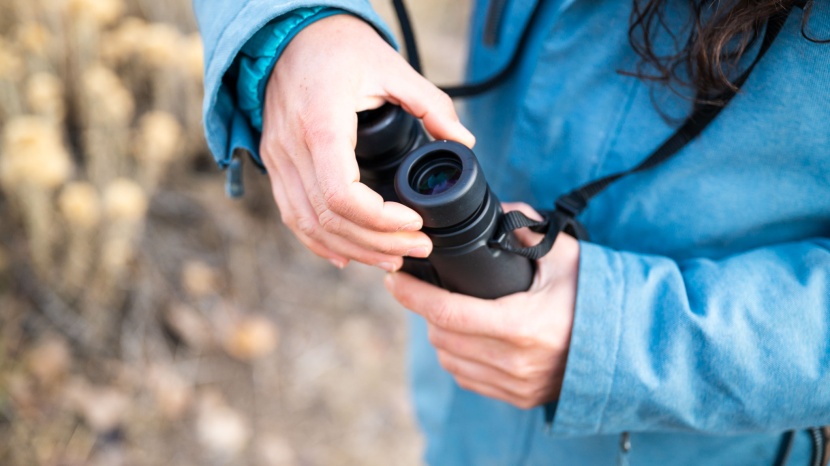 nikon monarch m5 8x42 - the comfortable eye cups on the m5 are easy to adjust.