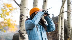 vortex diamondback hd 8x42