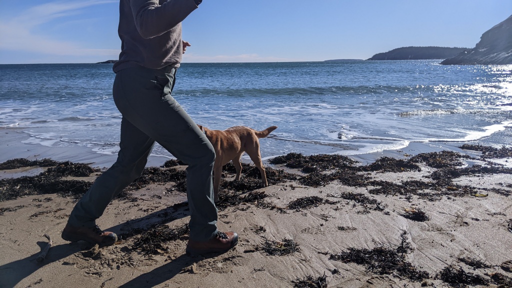 arc'teryx gamma pant for women - comfort and performance like this is enough to make us want to dance...