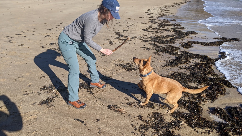 arc'teryx gamma pant for women - on the rare occasion that the well-behaved nala dog jumped on these...