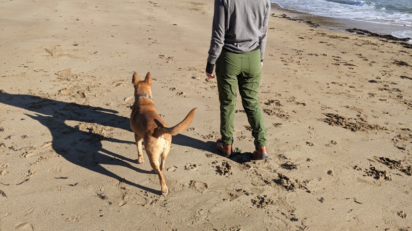 rei co-op trailmade pants for women - since back pockets aren&#039;t often useful, we don&#039;t mind the lack of...