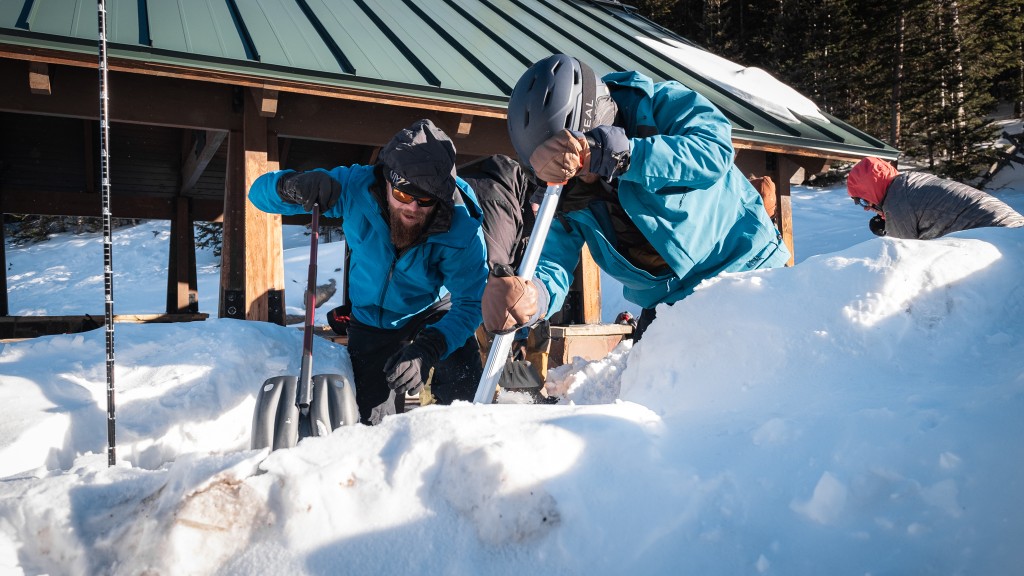 avalanche beacon - while beacon speed is important, remember that the longest part of...