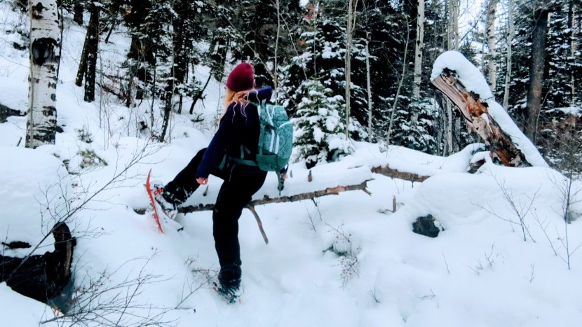 snowshoes womens - finding the right shoe for the type of snow and terrain you most...