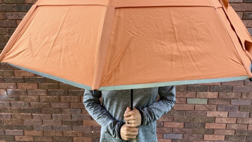 umbrella - not every umbrella can withstand 55 mph winds but the weatherman...