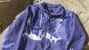 Product photo of The North Face Denali