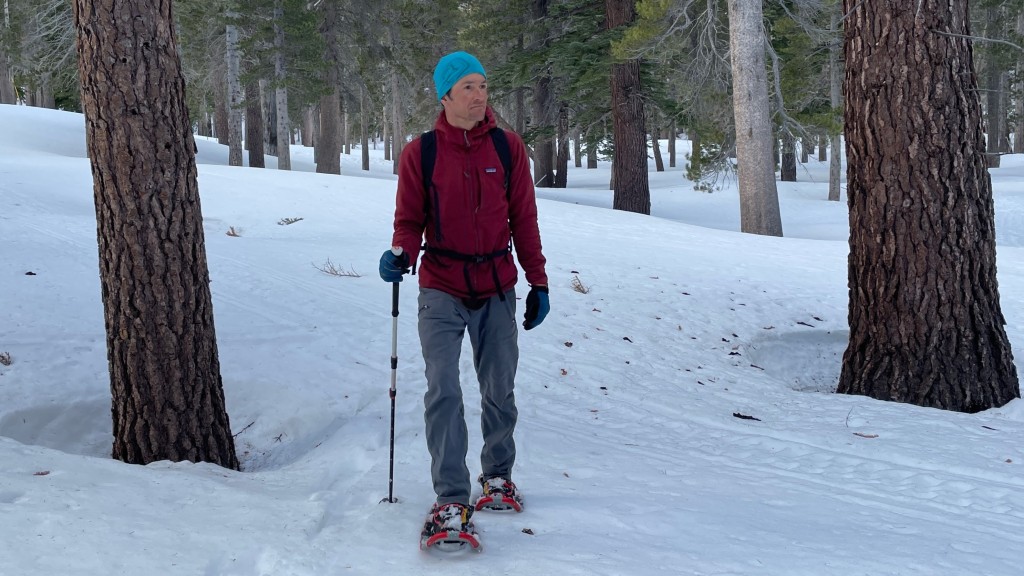 tubbs panoramic - these are a good choice for mellow exploring in the woods.