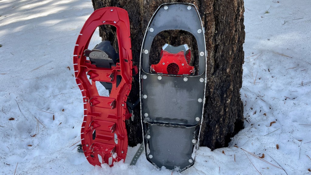 snowshoes - different designs, similar traction.