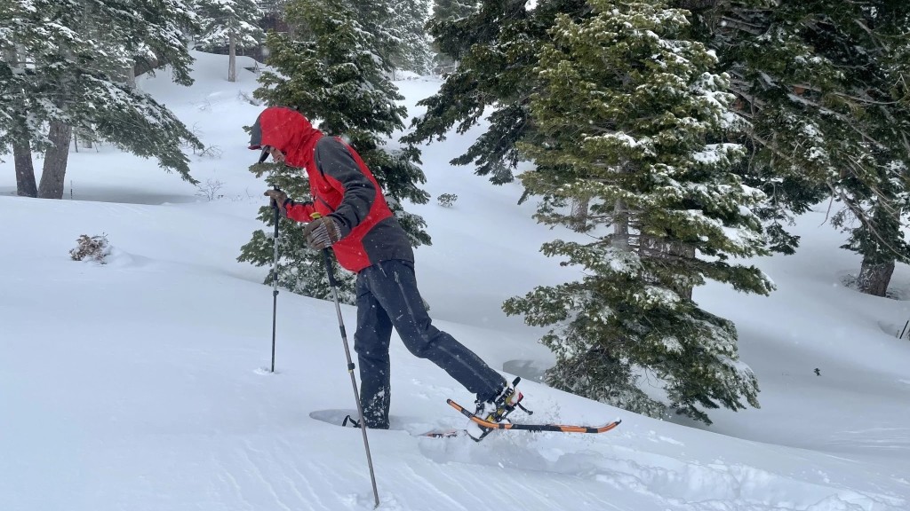 snowshoes - a rigid aluminum frame augments flotation.