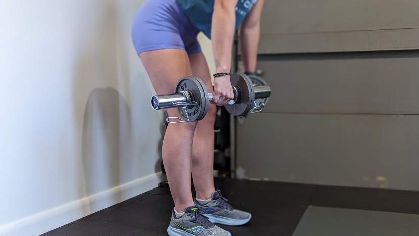 dumbbells - while your range of motion is slightly impaired given the long...