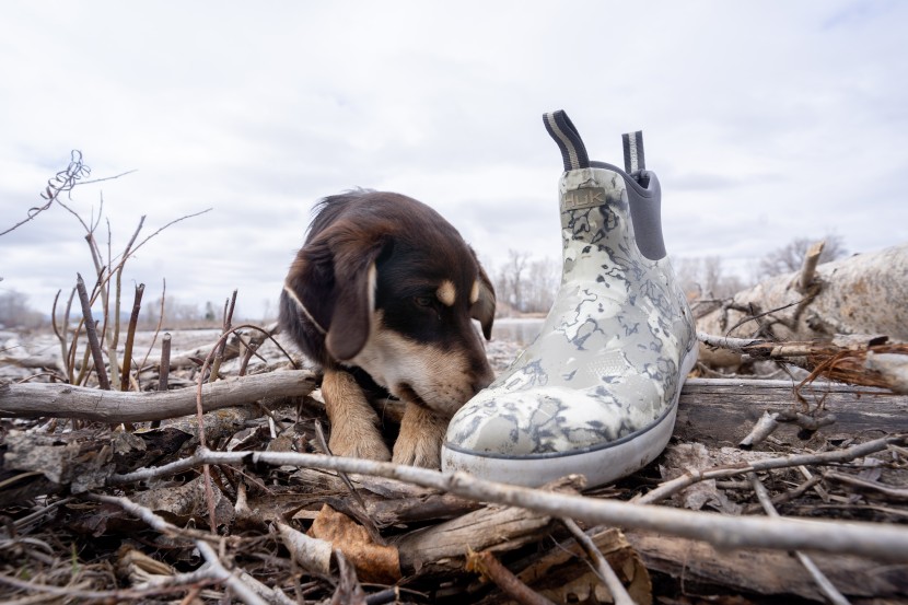huk rogue wave - gator the dog approves!