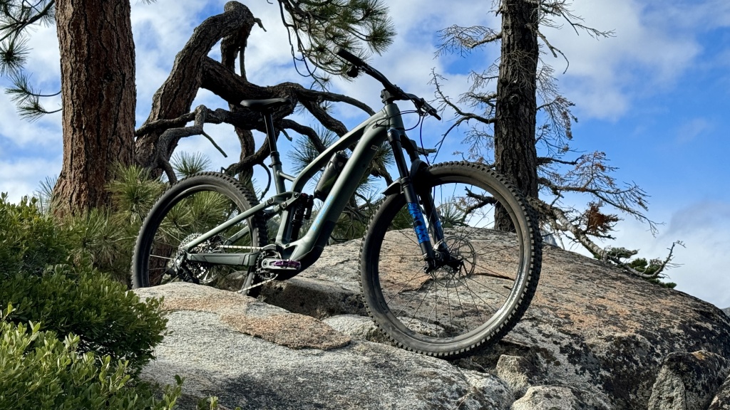 trek fuel exe 8 gx axs transmission - that silhouette may be misleading; the exe is pretty stealthy.