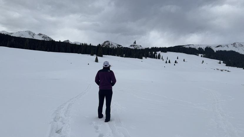 the north face denali for women - for simple hikes in wintery landscapes, this fleece does well. but...