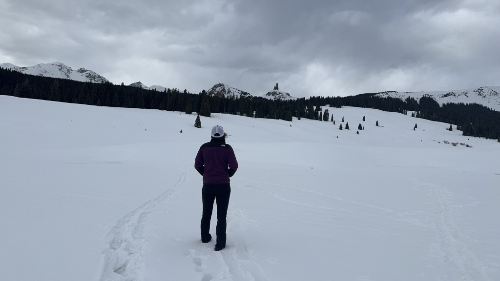 the north face denali for women - for simple hikes in wintery landscapes, this fleece does well. but...