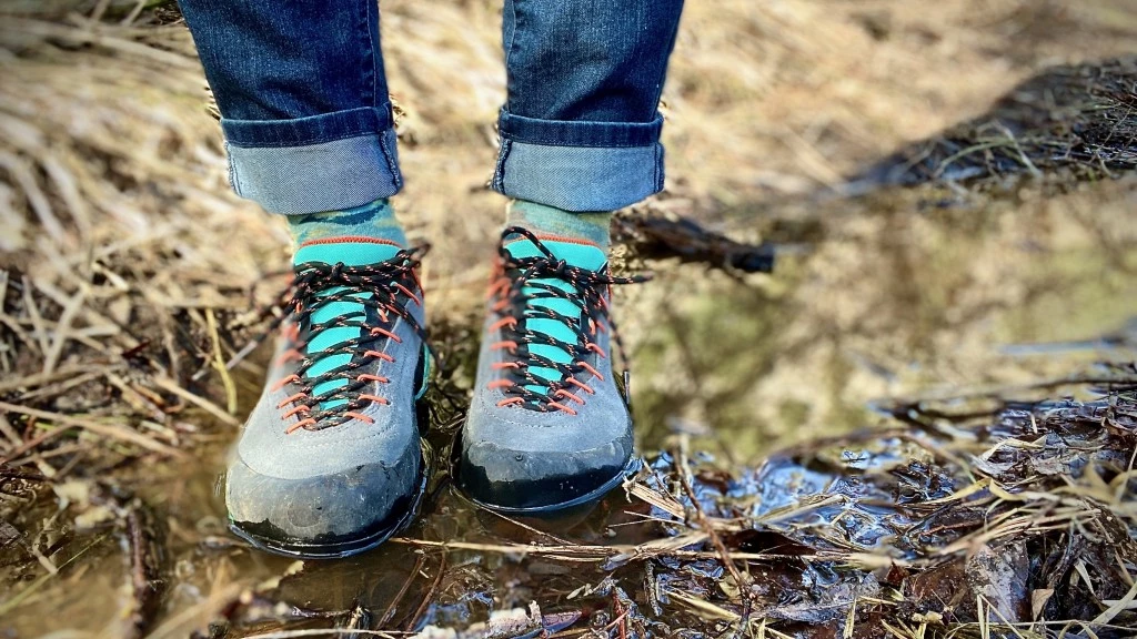 hiking shoes womens - though not entirely waterproof, the tx4 kept our feet dry in snow...