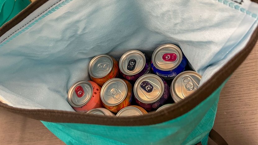 icemule jaunt 15 - this cooler can fit 28 cans and a bottle of wine.